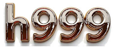 h999 logo